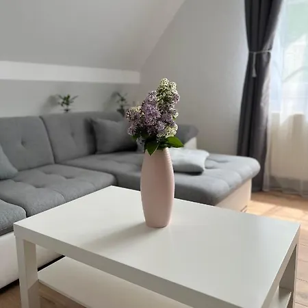 Ferienwohnung Zum Scheibe-See Hoyerswerda Extérieur photo