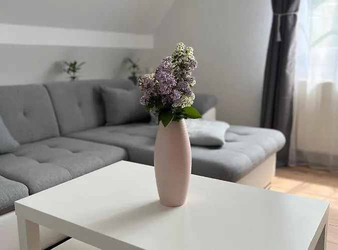 Ferienwohnung Zum Scheibe-See
